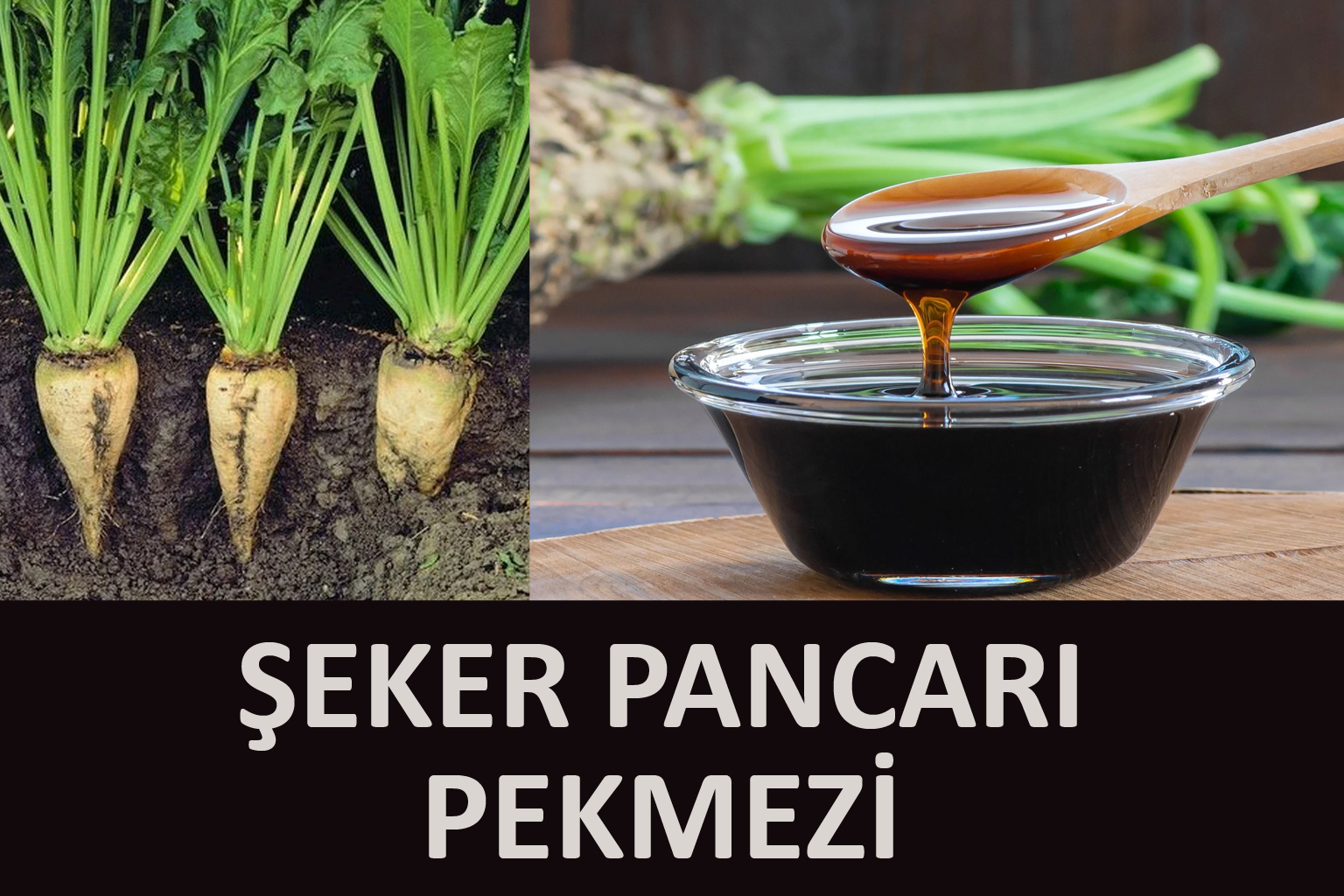 ŞEKER PANCARI PEKMEZİ